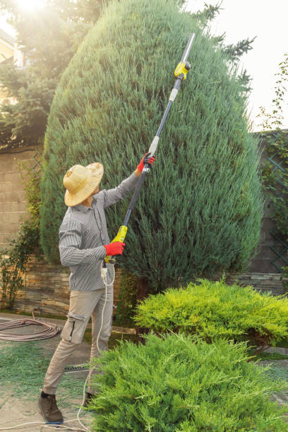 Leaf Removal in North Zanesville, OH